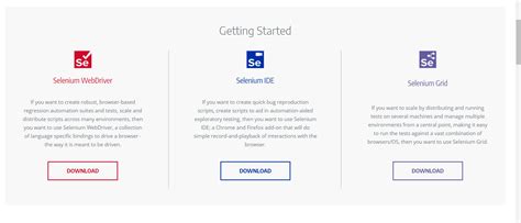 Selenium Interview 的图像结果