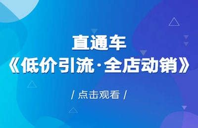 淘系电商入门到精通手淘搜索，手淘推荐，全店动销（价值1099元）_uuid2 IT资源网