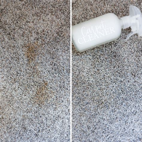Homemade Carpet Cleaner With Dawn And Peroxide at Roxanna Ahlers blog