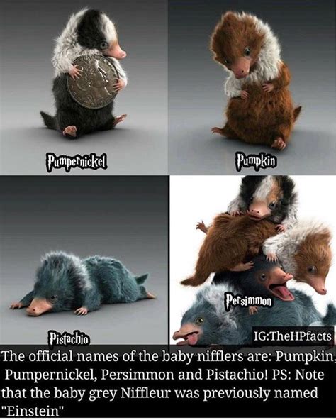 Cute Names For Nifflers