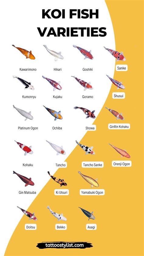 Best Colors For Koi Fish Koi Fish Tattoo Design And The Meaning Of Koi