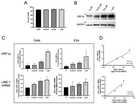 IJMS | Free Full-Text | Long Interspersed Nuclear Element-1 Analytes in ...