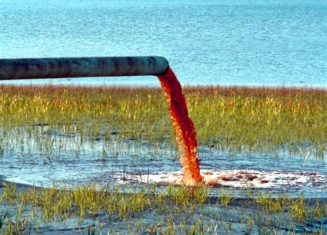 Human Modification 的图像结果