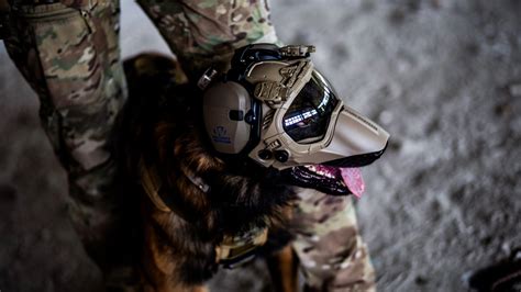 Photos: New helmet to shield military dogs in the line of duty ...