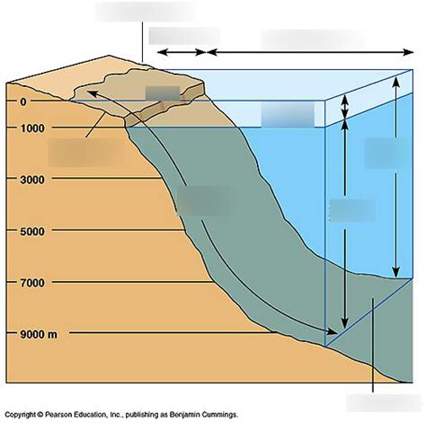 Ocean Knowledge Graph 的图像结果