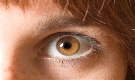 激光笔照射眼睛十几秒，12岁男孩几近失明！这些毁眼物品要小心|眼健康百科 - 加加明-儿童青少年近视防治网