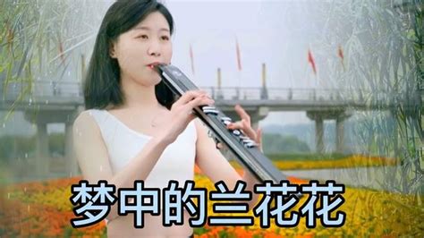 电吹管纯音乐《梦中的兰花花》团团电吹管演奏-音乐视频-搜狐视频