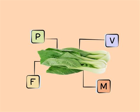 Bok Choy Nutrients