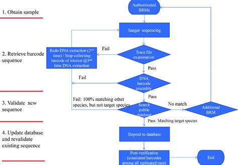 Image result for DNA Barcoding Flow Chart