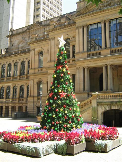 Sydney - City and Suburbs: Sydney Town Hall, Christmas
