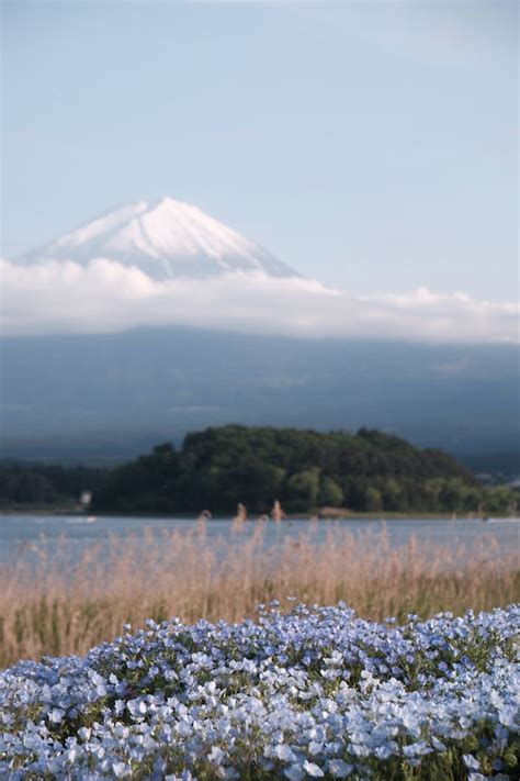 Image result for Make Print Bigger Computer