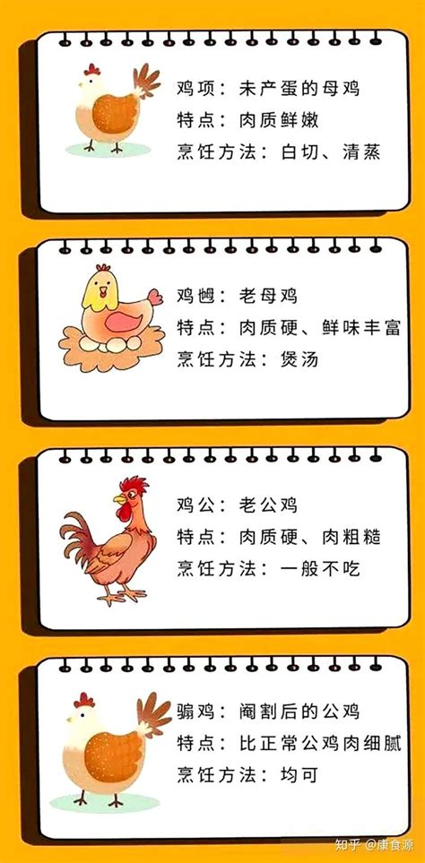 揭秘中国十大名鸡之首——清远鸡的前世今生 - 知乎