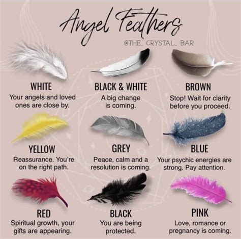Pin by Rosann Kevil on THOUGHTS in 2025 | Feather color meaning ...