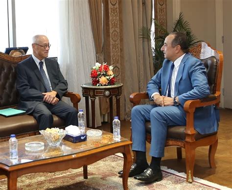 Egypt Car Production: New Models & Japanese Collaboration - World Today Journal