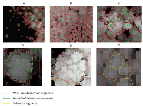 Individual Tree Crown Delineation Method Based on Multi-Criteria Graph ...