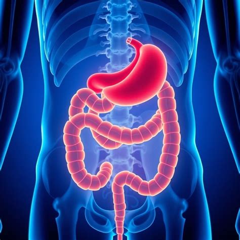 Decoding the Dizzy Patient: ICD-10-CM Code R42 and the Clinical ...