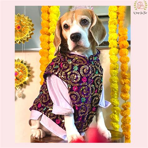 Purple Chak Mak Jacket Kurta – Wrapinfur