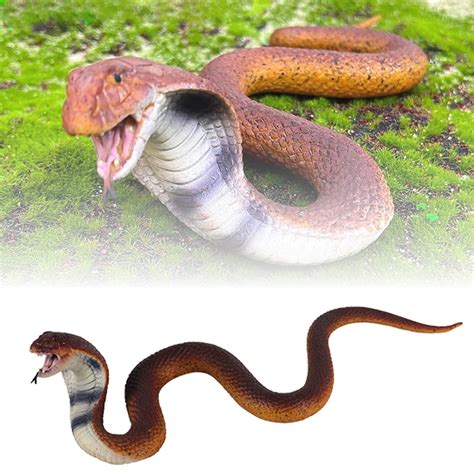 Image result for Beach Prank String