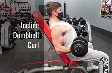 Incline Dumbbell Curl | Dumbbell curls, Biceps, Biceps workout