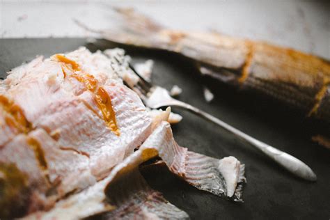 Catching Whitefish Lake Superior at Timothy Jeffords blog