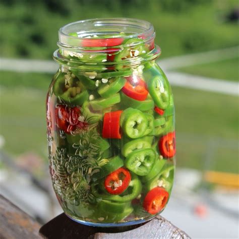 Pickled Jalapeños | Recipe | Pickling jalapenos, Jalapeno, Pickled ...