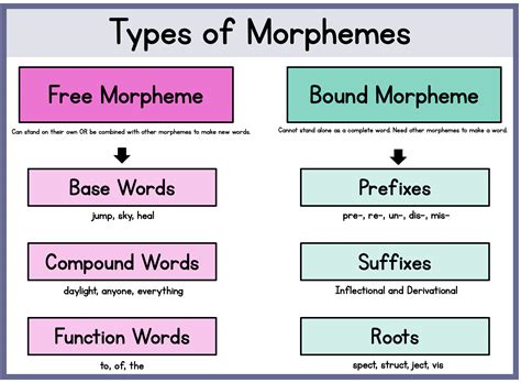 Understanding Morphology: Part 1 - Sarah's Teaching Snippets