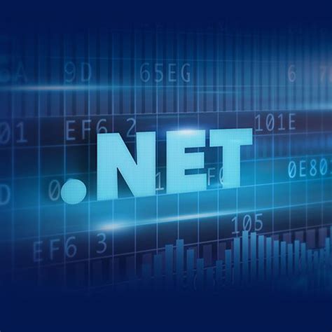 Image result for Software.NET