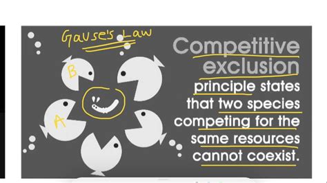 Image result for Competitive Exclusion Example Abingdon Tortoise