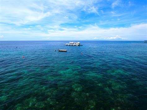 Dive Spot Asia & Brumini Beach Resort Restaurant: Pictures & Reviews ...