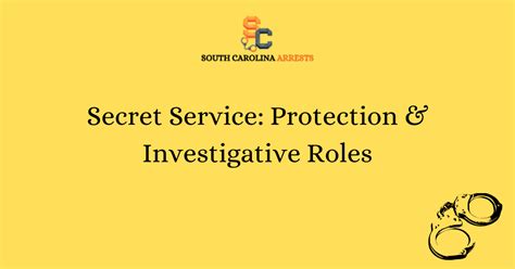 Secret Service Protection 的图像结果