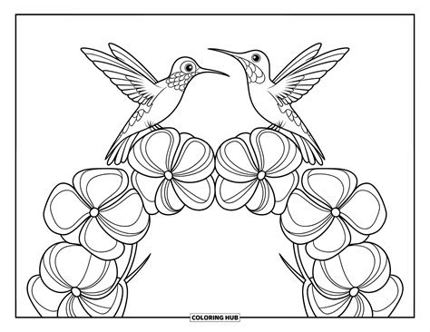 100+ Hummingbird Coloring Pages for Kids & Adults (Free Printable PDFs)