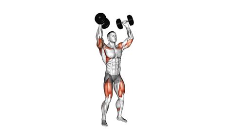 Image result for Turkish Get Up Muscles Worked