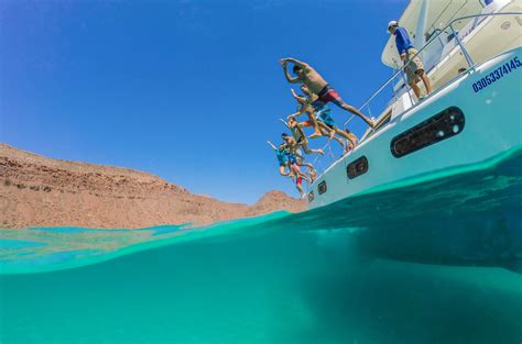 The Sea of Cortez: The Breathtaking World Aquarium | Cabo Adventures