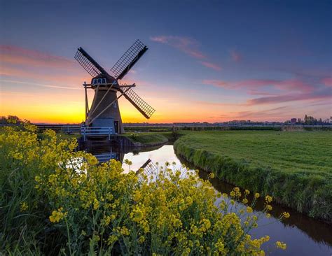 The mill hope brings life with turnip seeds by Richard Nell on canvas ...