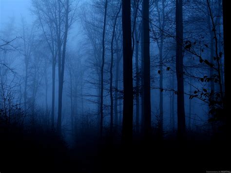 Nightfall - Albany Barn, Inc.