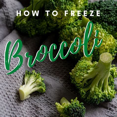Can You Freeze Broccoli? - How to Freeze, Defrost and Use it Later.