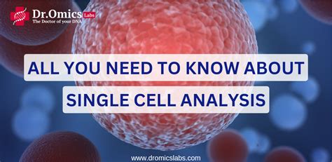Single Cell Analysis Free Software 的图像结果