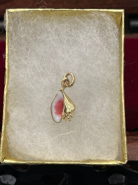 Image result for Mini Conch Shell