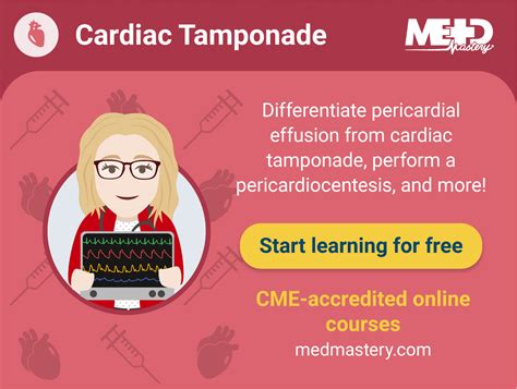 Image result for Normal X-ray