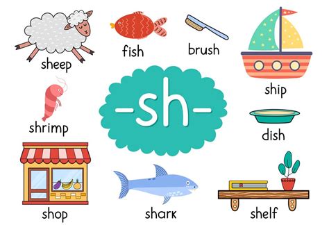 List of Words That Start With Letter 'Sh' For Children To Learn