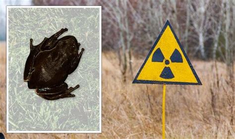 Image result for Java 1.7 Instanceof