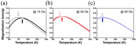 Alkaline Metal Reagent-Assisted Synthesis of Monodisperse Iron Oxide ...