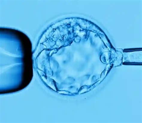 Genetic Testing & Advanced IVF Techniques | ART Fertility Clinics