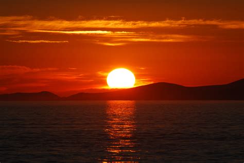 Image result for Sunset Tree Drawing