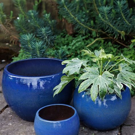 Buy Deep bowl planter - blue: Delivery by Waitrose Garden