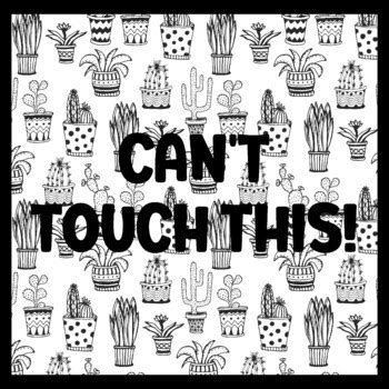CAN'T TOUCH THIS! 3 by 3 Feet Cactus Succulents Bulletin Boards ...