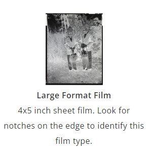 Scanning Disk Negatives 的图像结果