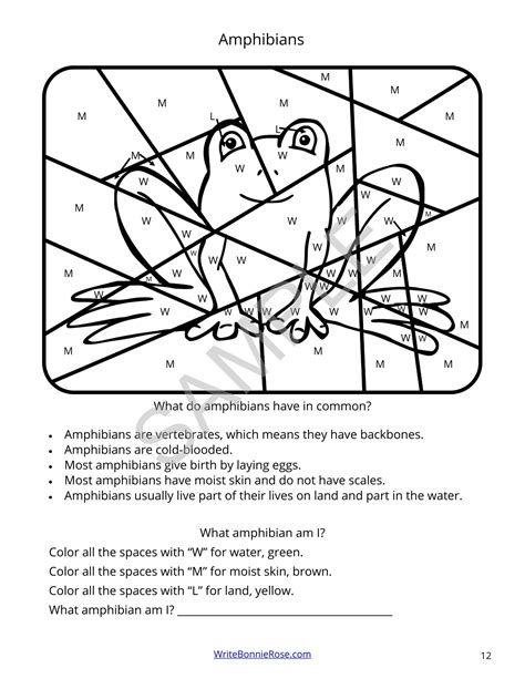 Classification by Color Code in Evolution 的图像结果