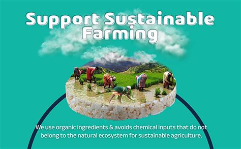 GRAINIC Brown Rice Cakes, Classic Plain (Unsalted) and Turmeric & Black ...