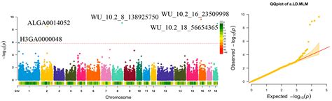 Identifying Genetic Architecture of Carcass and Meat Quality Traits in ...